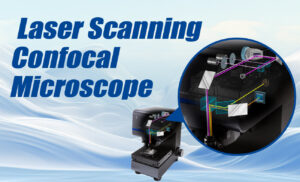 laser confocal microscope