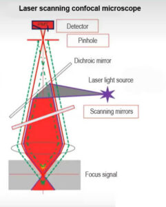 confocal microscope how it works