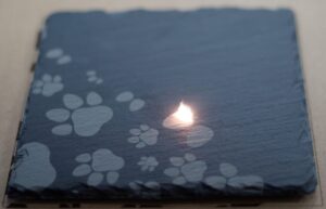 Laser Energy Absorption